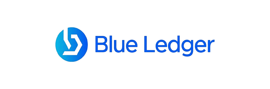 Blue Ledger Solutions Logo